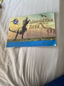 Irish language children's book