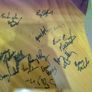 2004 leinster champions wexford GAA framed and signed jersey Image 8