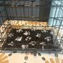 Small puppy crate with cover Image 2