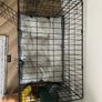 Dog Crate Medium Image 2