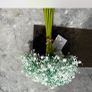 Gypso flower bouquet Image 2