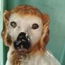 Vintage Ceramic Spaniel Dog Image 3