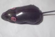 a vintage tin   toy mouse working
