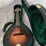 Kentucky KM500 Mandolin Image 3