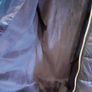 girls navy mayoral designer coat Image 9