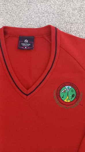 luttrellstown school jumper size 46