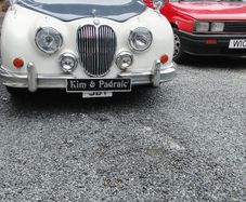 Classic vintage cars