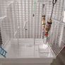 Parrot cage Image 5