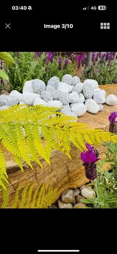 Stone decorative