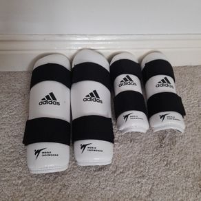 Taekwondo