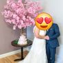Cherry blossom tree Image 3