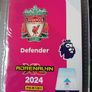 Virgil van Dijk Silver Limited Edition Panini Football Card Image 3
