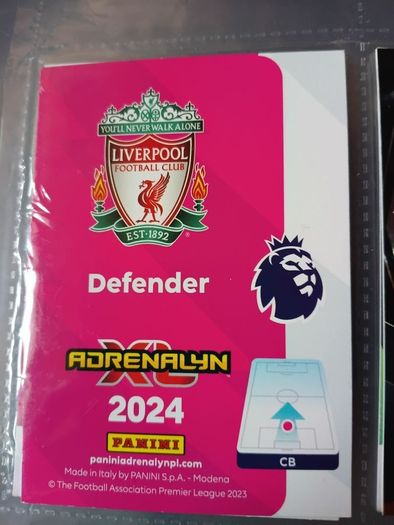 Virgil van Dijk Silver Limited Edition Panini Football Card