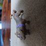 Fluffy Cerberus, Harry Potter Three Headed Dog. Toy Figure. Image 3