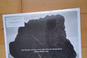 Damon Albarn Sealed White Vinyl