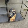 Clothes Rail x 2 Image 4
