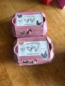 free range