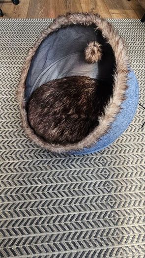 Cat bed