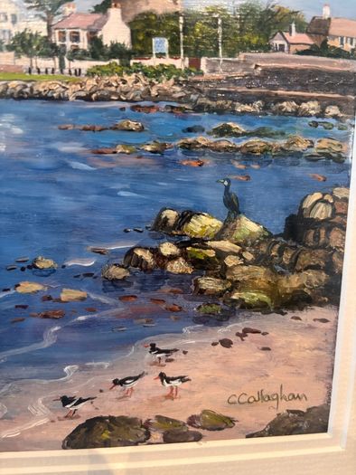Dublin Sansycove painting with frame