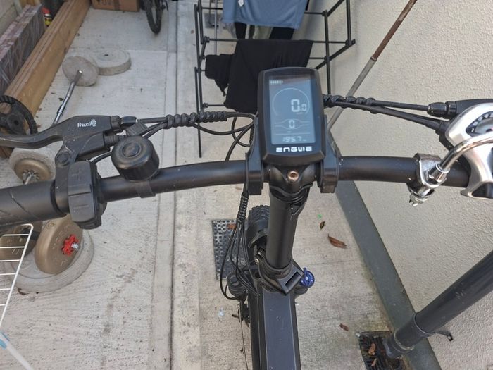 Enguie pro 2 electric bike