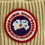 canada goose Image 2