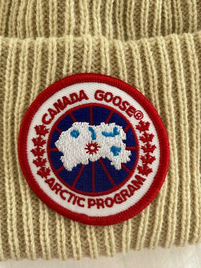canada goose