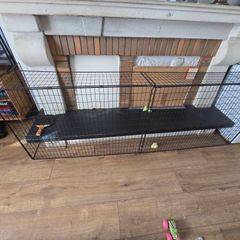 Fireplace guard