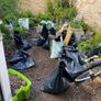 Free garden stones/sandy/soil Image 2
