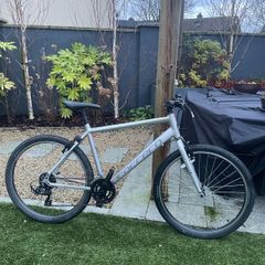 27.5" L Correra Parva