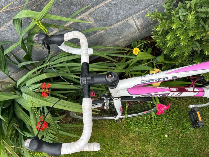 Castello Ladies Bike