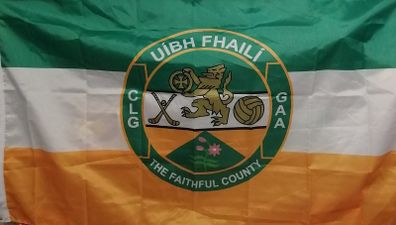 Offaly Flag 5ft x 3ft.