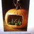 Mario76