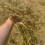 Hay for sale Tipperary Thurles/Templemore area Image 3