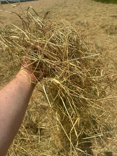 Hay for sale Tipperary Thurles/Templemore area