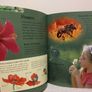 My First Picture Encyclopedia Hardback book Image 9