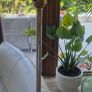 1960s Teak Floor Lamp Image 6