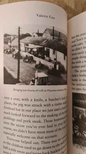 Growing Up With Ireland. By Valerie Co. Paperback In Very Good Condition.