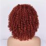 ColourfulPanda afro curly wig black and red Image 2