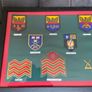 Irish Army Badge Collection Framed Image 4