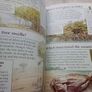 Three Books: Kingfisher Question & Answer books Image 7