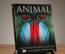 Animal: The Definitive Visual Guide - 1st Edition