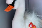 Swan TY Gracie