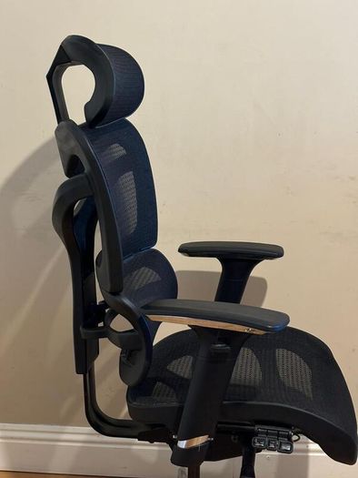 Dorsum Executive Ergonomic Mesh Office Chair (negotiable)