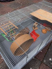 Hamster Cage