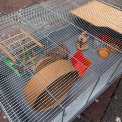 Hamster Cage