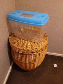 10 litre tank