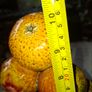 Beautiful one piece Majolica Fruit Stack c1960s will certainly impress your guest Postage Available, Image 6