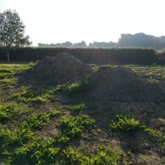 : Free Clean Clay / Subsoil / Fill Material-Laois