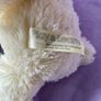 Play & Learn White & Cream Teddy Bear Image 5