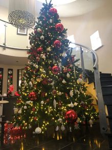 christmass tree
